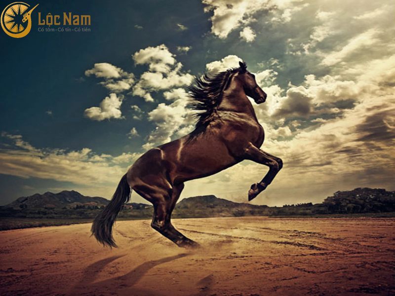 Ngựa là con vật gần gũi, quen thuộc với đời sống con người
