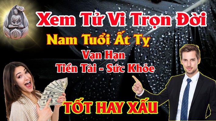 Từ Vi Tuổi Ất Tỵ 1965 nam mạng